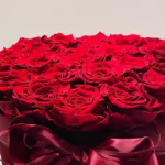 Unlocking Peak Performance: A Comprehensive Guide to the Rosboxar Industrial Actuator