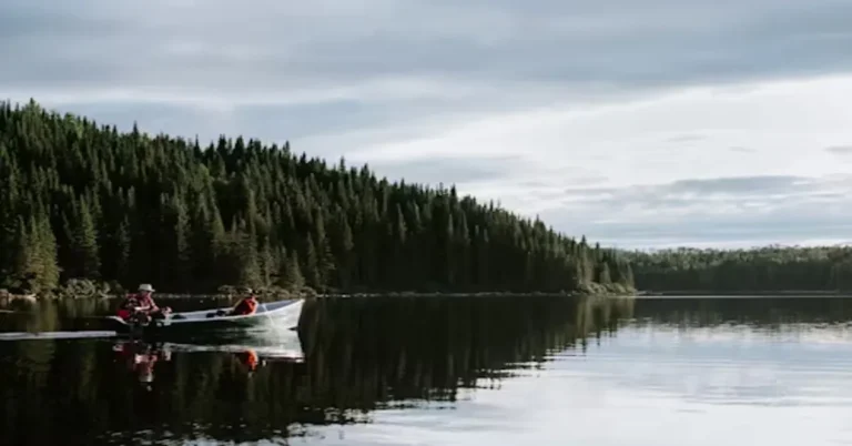 Veneajelu: A Comprehensive Guide to Veneer Restoration and Care